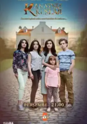 Птицы без крыльев (2017) Птицы без крыльев (2017)