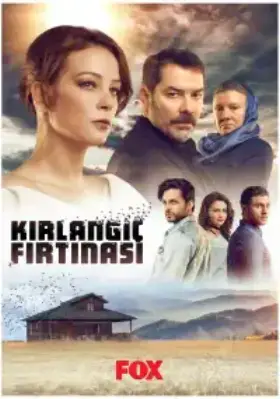 Шторм ласточки (2017) смотреть турецкий сериал на русском