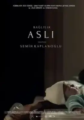 Обязательная Асли смотреть турецкий сериал на русском