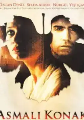 Особняк с виноградными лозами (2002) смотреть турецкий сериал на русском