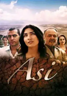 Аси (2007) смотреть турецкий сериал на русском