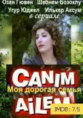 Дорогая моя семья (2008)