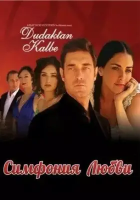 Симфония любви (2007) Симфония любви (2007)