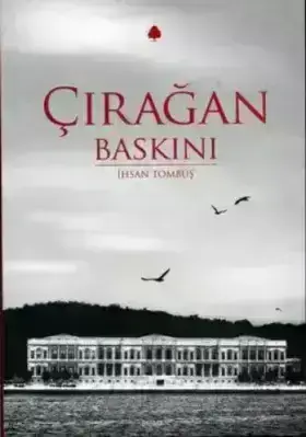 Нападение на дворец Чыраган (2014)